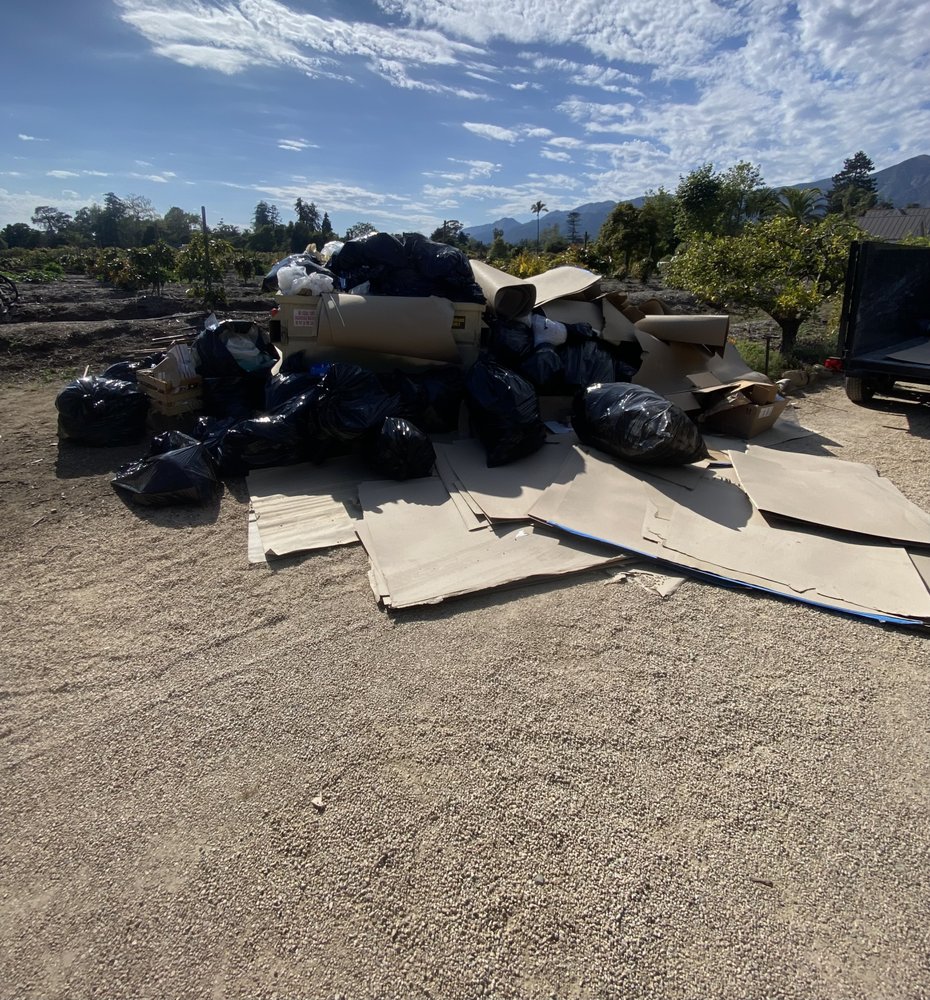 Expert dumpster roll off rental service